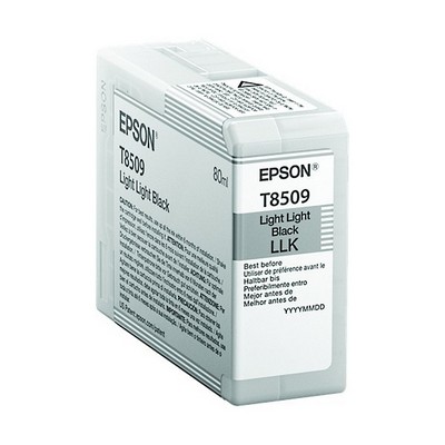 c13t850900